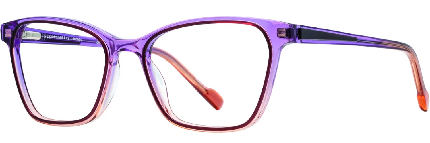 Scott Harris SH1004 Eyeglasses - view 10